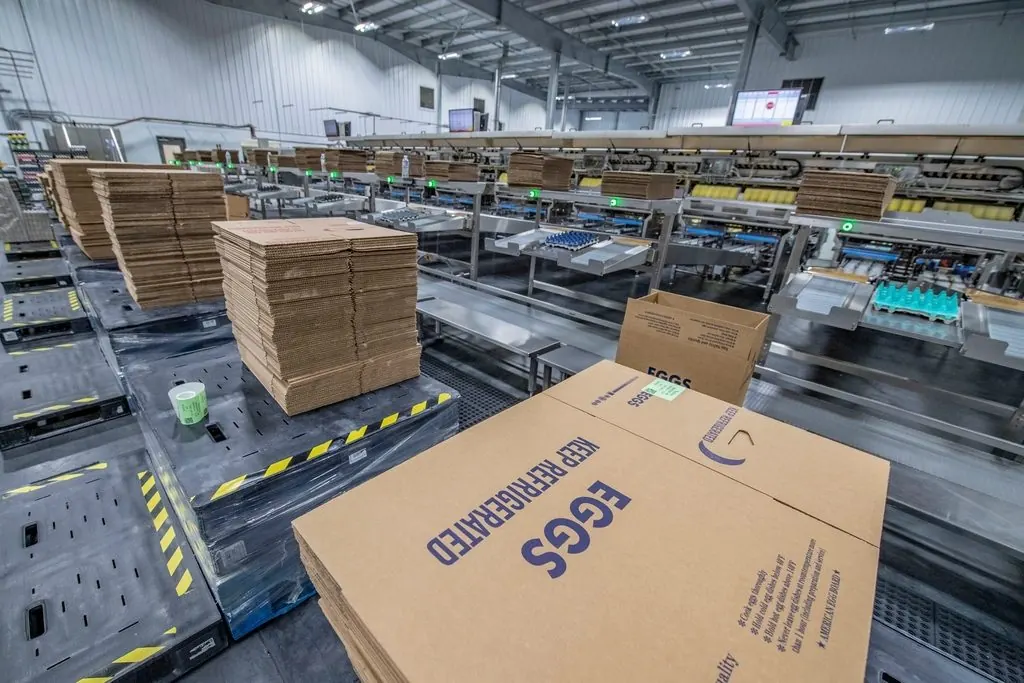 Klabin: a mais antiga produtora de papel do Brasil e a fábrica de Ortigueira